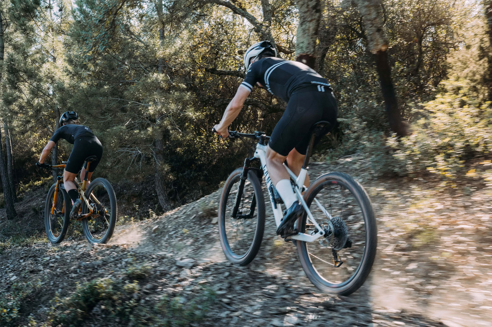 Afscheiden Psychiatrie mobiel CeramicSpeed OSPW derailleurkooi voor je MTB - MTBblog.nl